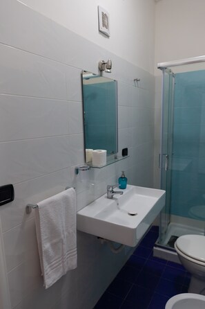 Hair dryer, towels, toilet paper