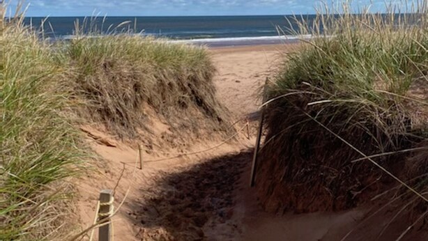 A sandy beach path leading to the ocean, bordered by grass.