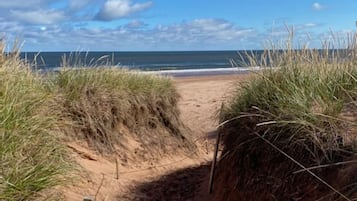 Beach nearby, sun loungers, beach towels