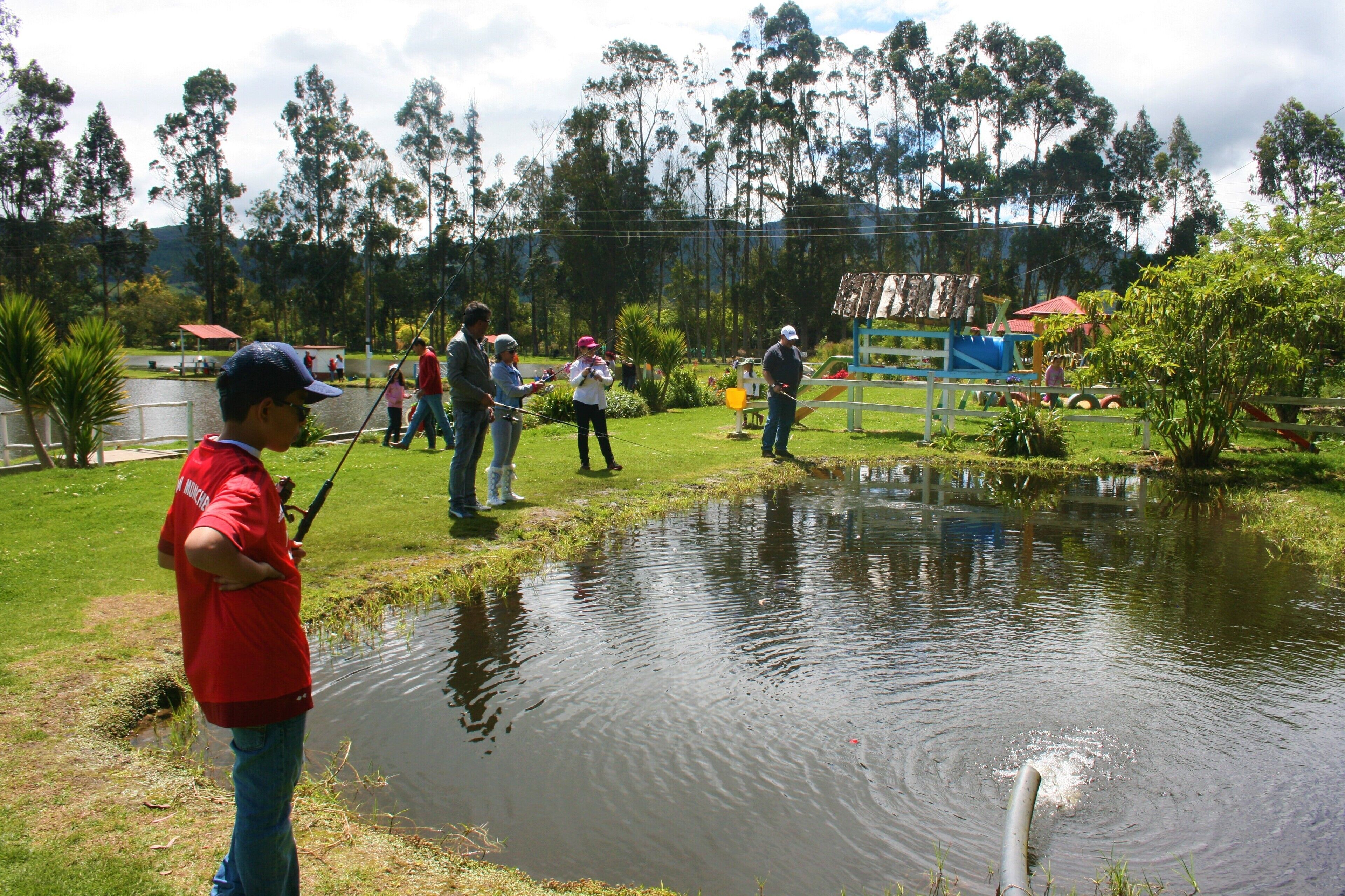 Un grupo de personas pescando en un estanque en un parque, con árboles y un parque infantil al fondo.
