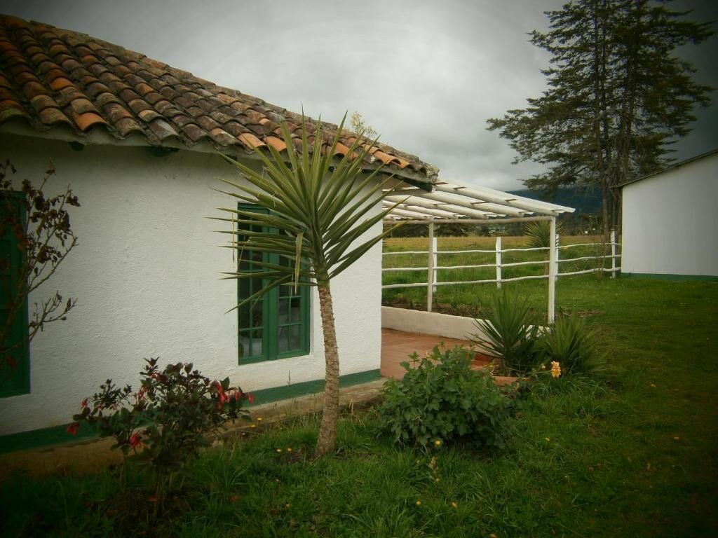 A house with a tiled roof, a covered patio, and a garden with plants and flowers.