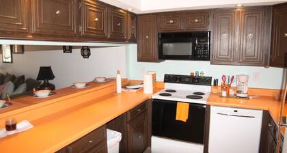 Pelican Inlet C218