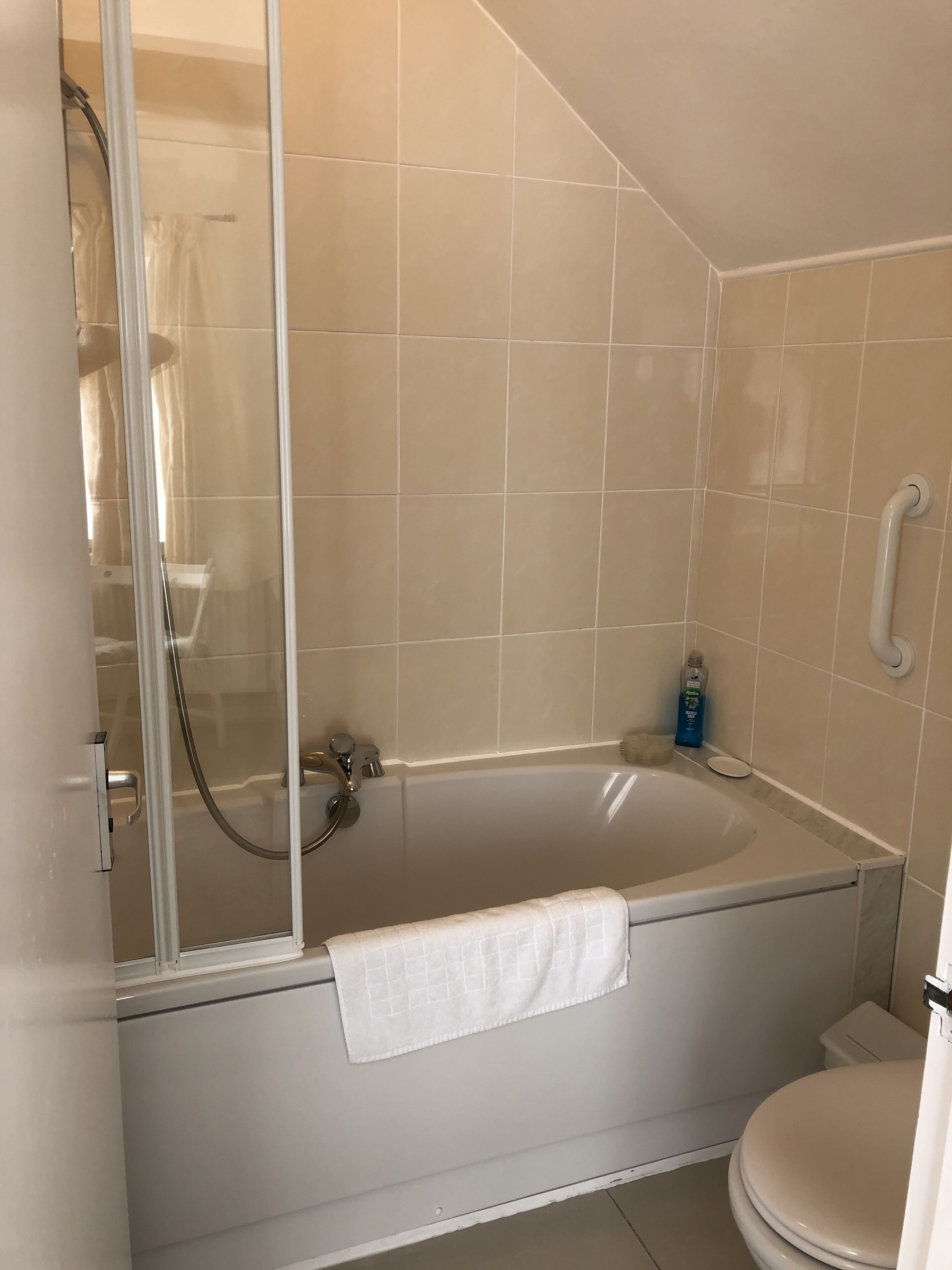 A modern bathroom with a glass-enclosed shower, a freestanding bathtub, and a toilet.