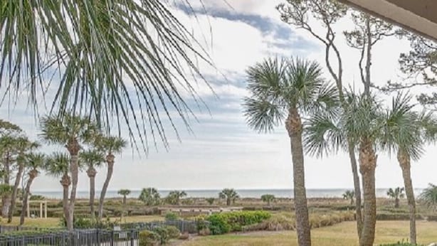 A coastal view with palm trees and a beach in the background.