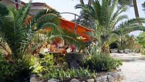 Zona d'estar a l'aire lliure amb taules i cadires, envoltada de plantes tropicals i palmeres.
