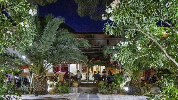 Vista nocturna d'un restaurant amb terrassa, palmeres i un camí de pedra que condueix a l'entrada.
