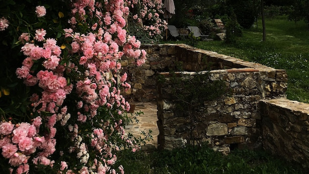 Un mur de pierres orné de fleurs roses, un banc en pierre et une zone herbeuse.