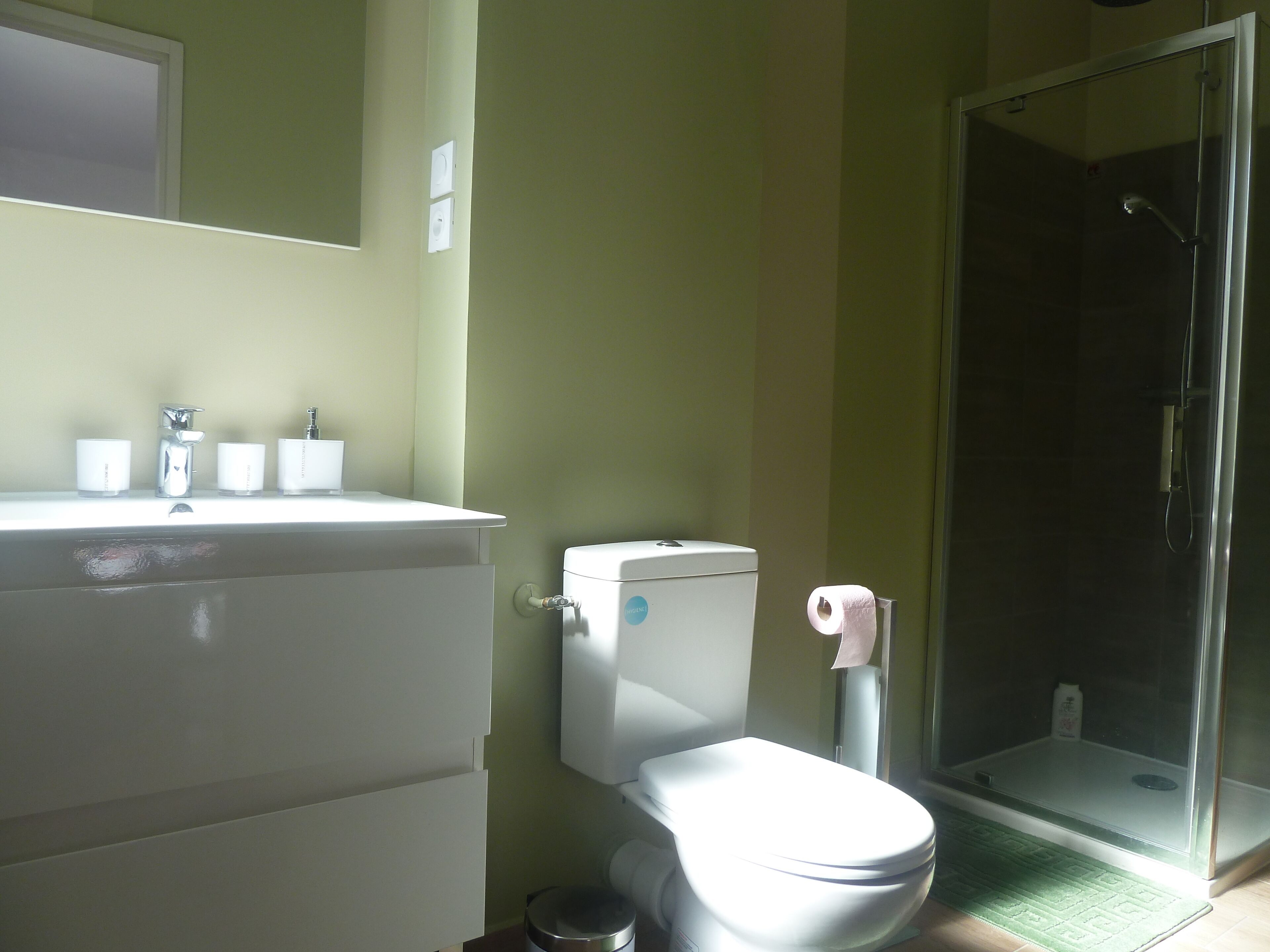 A bathroom with a toilet, sink, and shower.