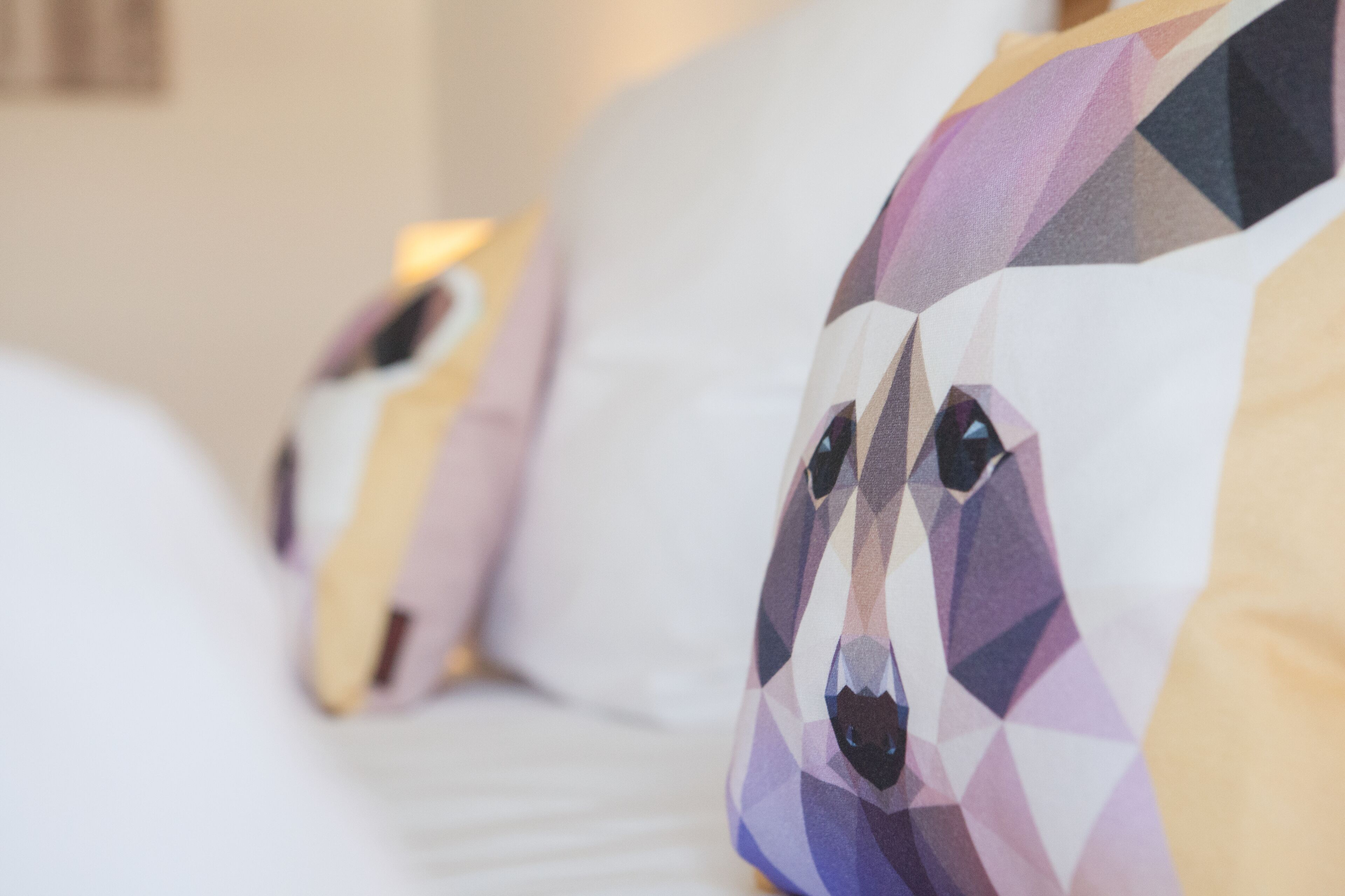 A bed with a geometric-patterned pillow and a plain pillow.