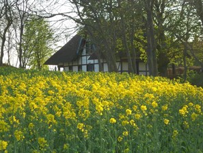 المنطقة المحيطة بالمنشأة