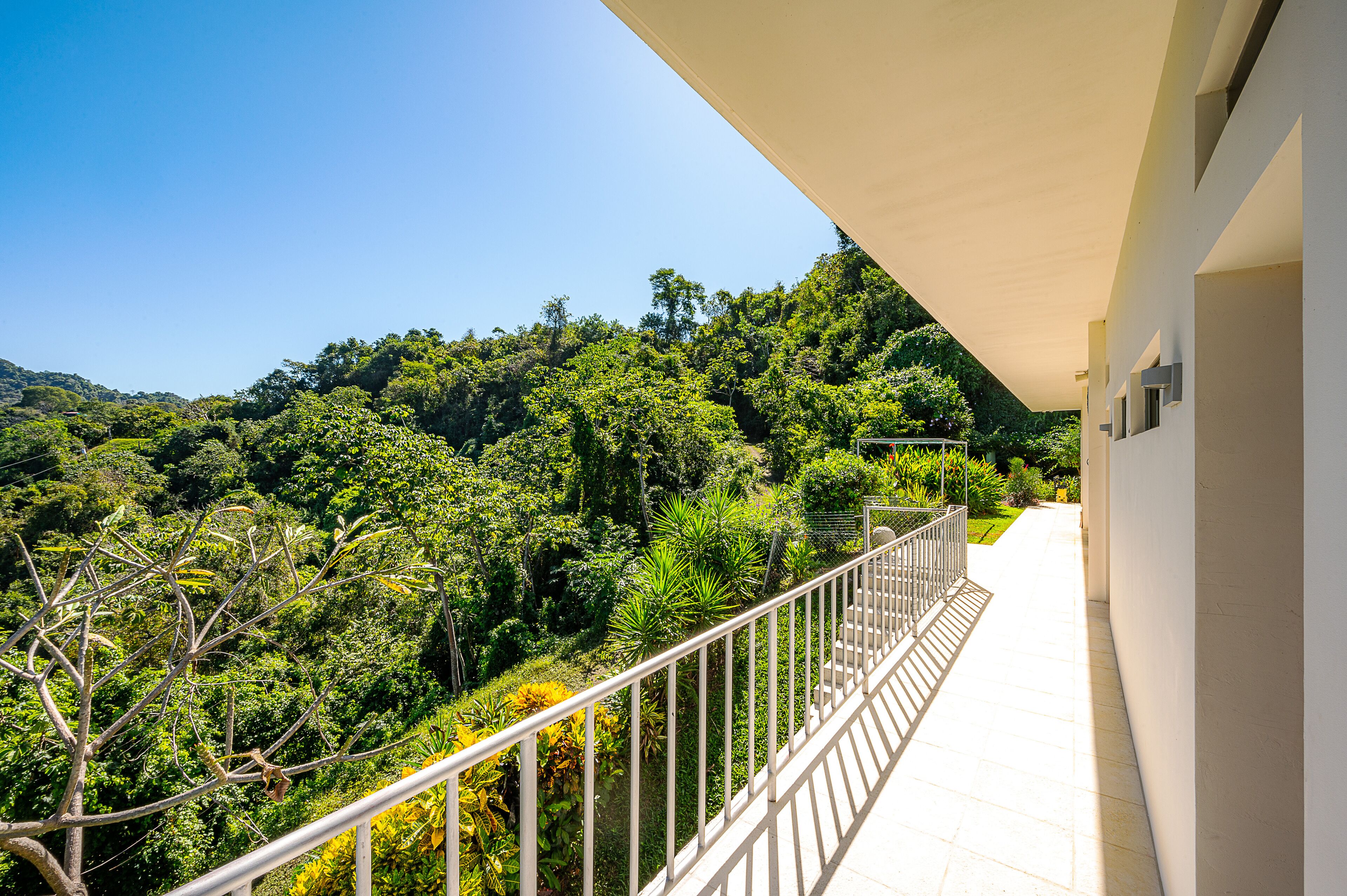 Vista desde la habitación