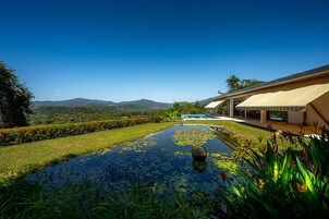 Un hotel moderno con piscina rodeada de abundante vegetación y montañas al fondo.