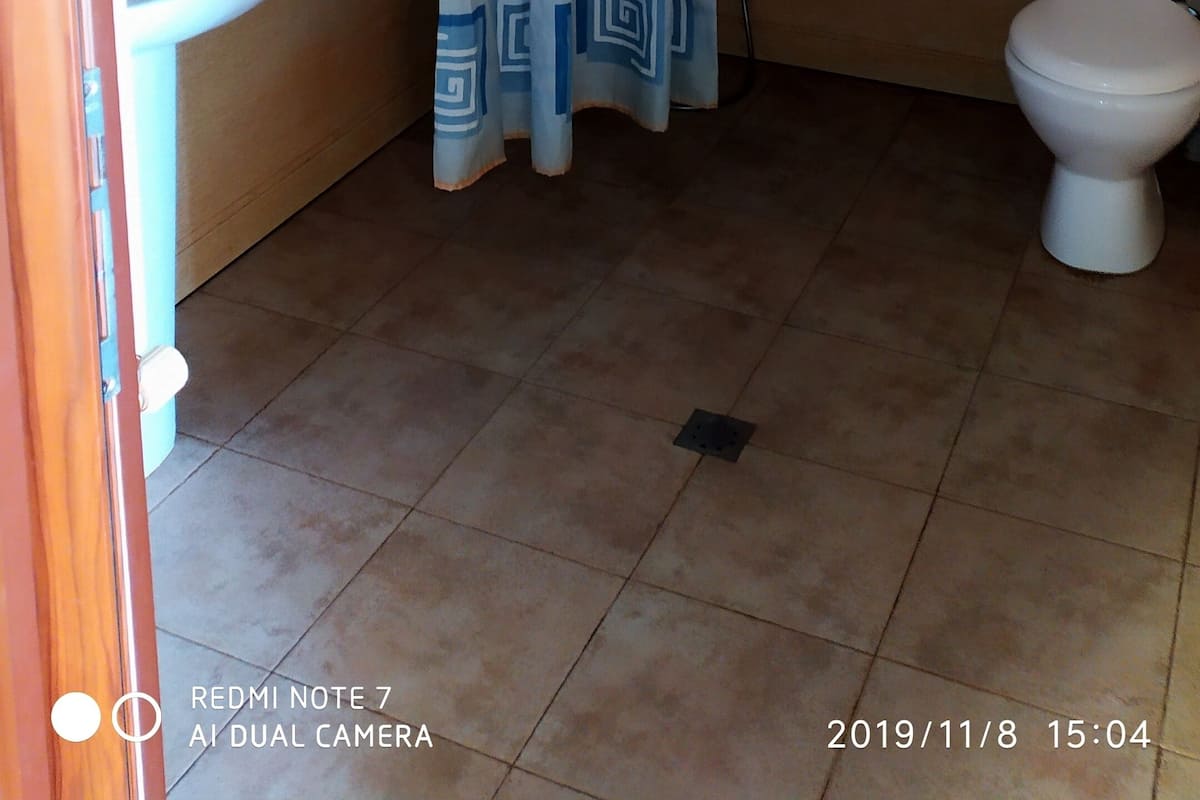 Ducha, cabezal de ducha tipo lluvia, artículos de tocador gratuitos