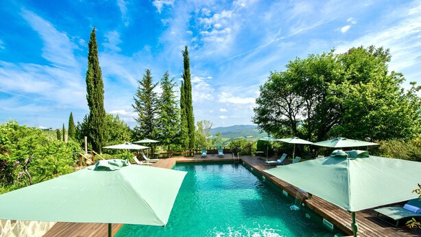 Une piscine dotée d’une terrasse en bois, entourée de verdure et d’arbres, avec des chaises longues et des parasols.