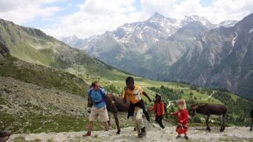A group of people on a mountain trail with a donkey, surrounded by mountains and a clear sky.