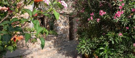 Detall de l'exterior