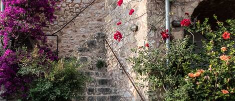 Parco della struttura