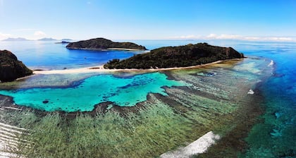 Snorkeling with sharks (homestay)
