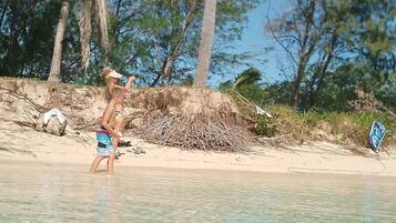 A beach scene with clear water, palm trees, and a sandy shore.