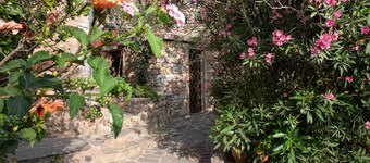 The Olive Tree Residence - un'esperienza unica a Mani Tower