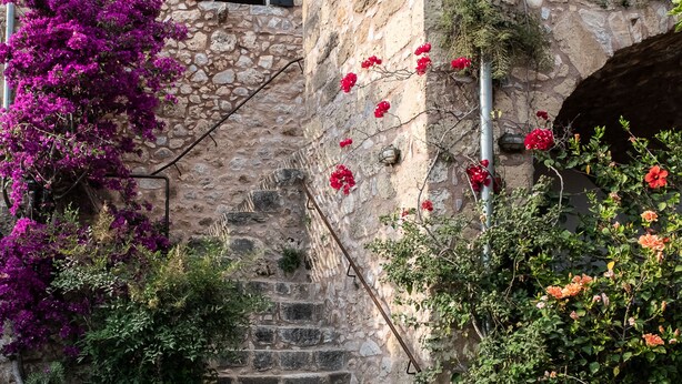 Un escalier en pierre mène à un bâtiment à la façade en pierre rustique, entouré d’une végétation luxuriante et de fleurs aux couleurs vives.