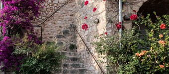 The Olive Tree Residence - a unique Mani Tower experience