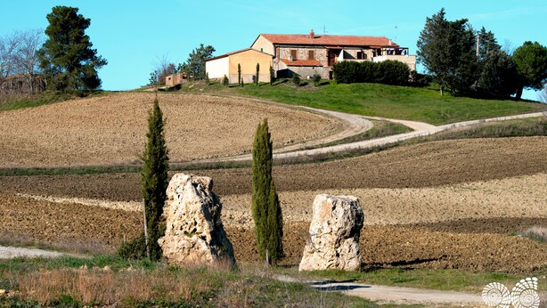 Una casa de campo con techo inclinado, rodeada de campos y árboles.
