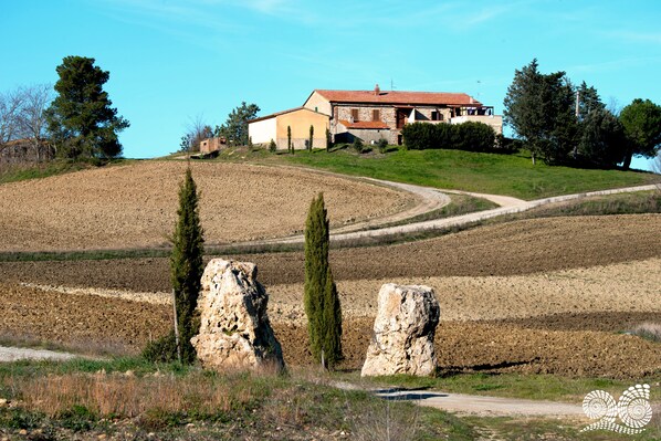 Garden - Poggio alla Pietra 26 (Cinigiano)