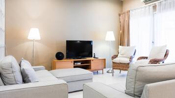 TV, Netflix, streaming services