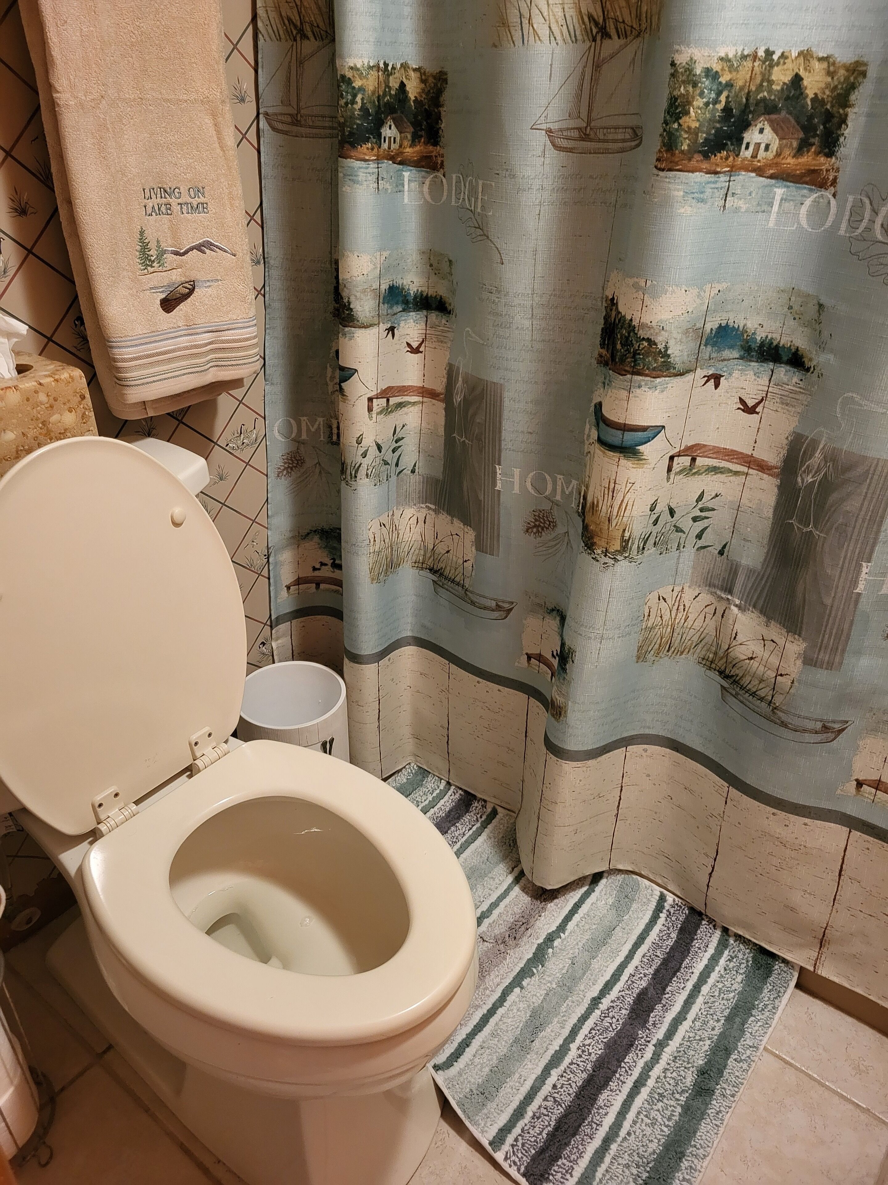 A bathroom with a toilet, a striped rug, and a shower curtain with a nature scene.