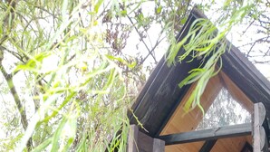 Design Double Room | Free WiFi, bed sheets - Iwoka Ecoturismo (La Calera)