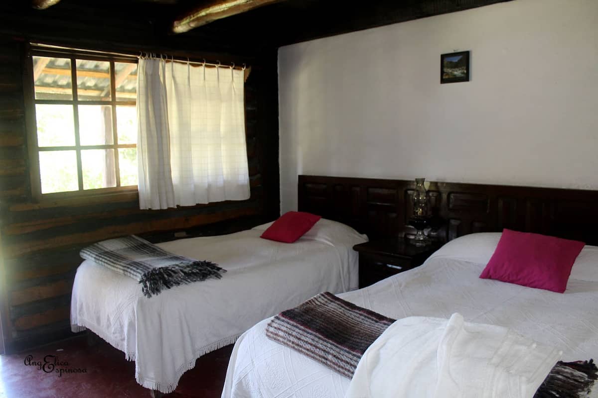 Classic Double Room, Multiple Beds, Garden View | Desk, bed sheets
