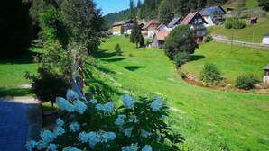 A rural village with traditional houses, a paved path, and lush greenery.