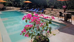 A swimming pool with lounge chairs and umbrellas, surrounded by greenery and potted plants. - Hostal Restaurante y Spa Mama Neyumun (Santa Marta)