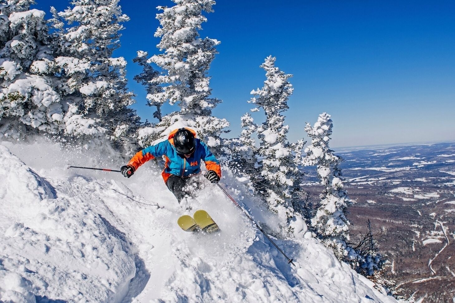A skier on a snowy slope with trees and a clear sky.