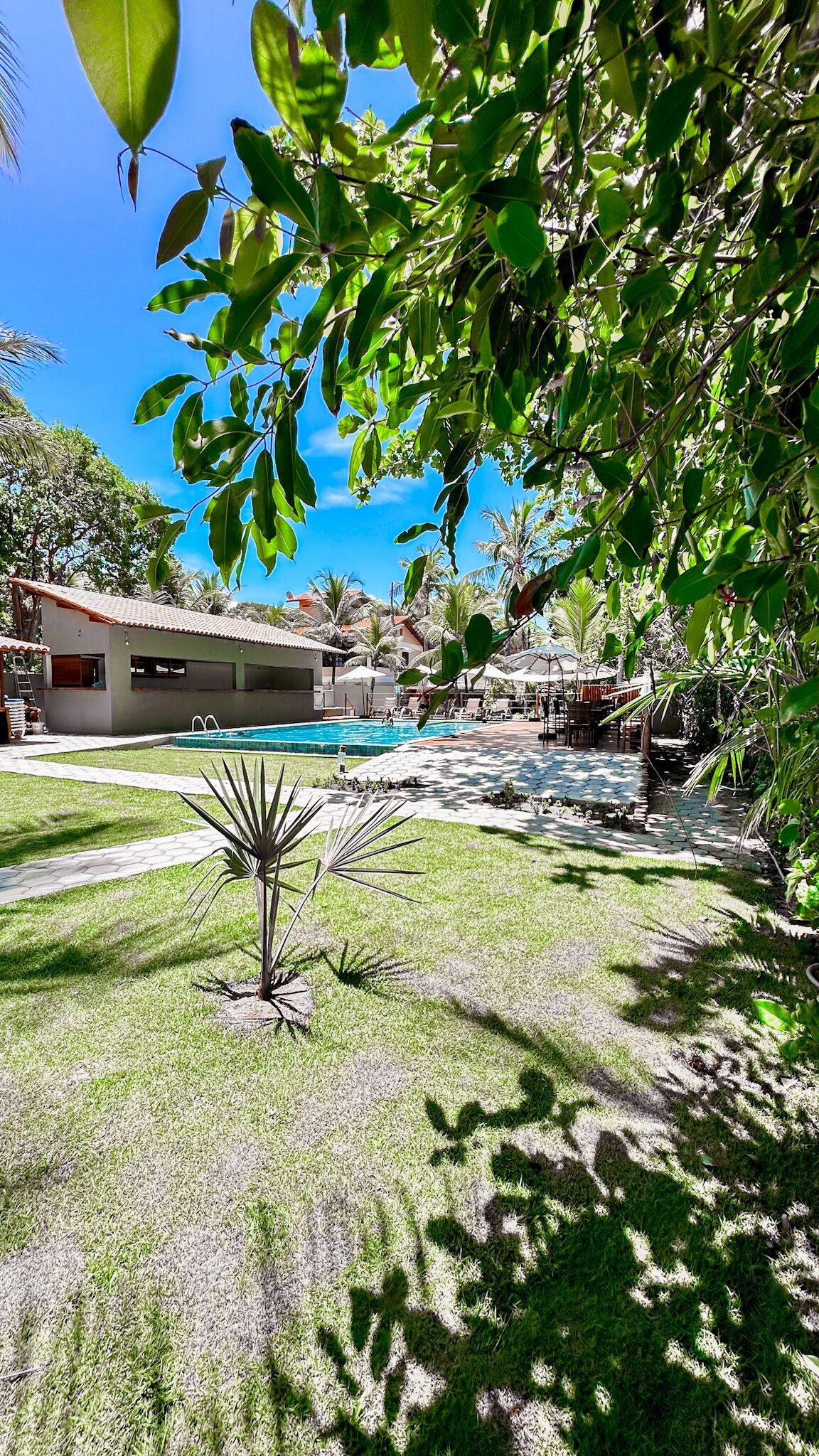 A pool area with a clear blue sky, a building with a tiled roof, and a well-maintained lawn.