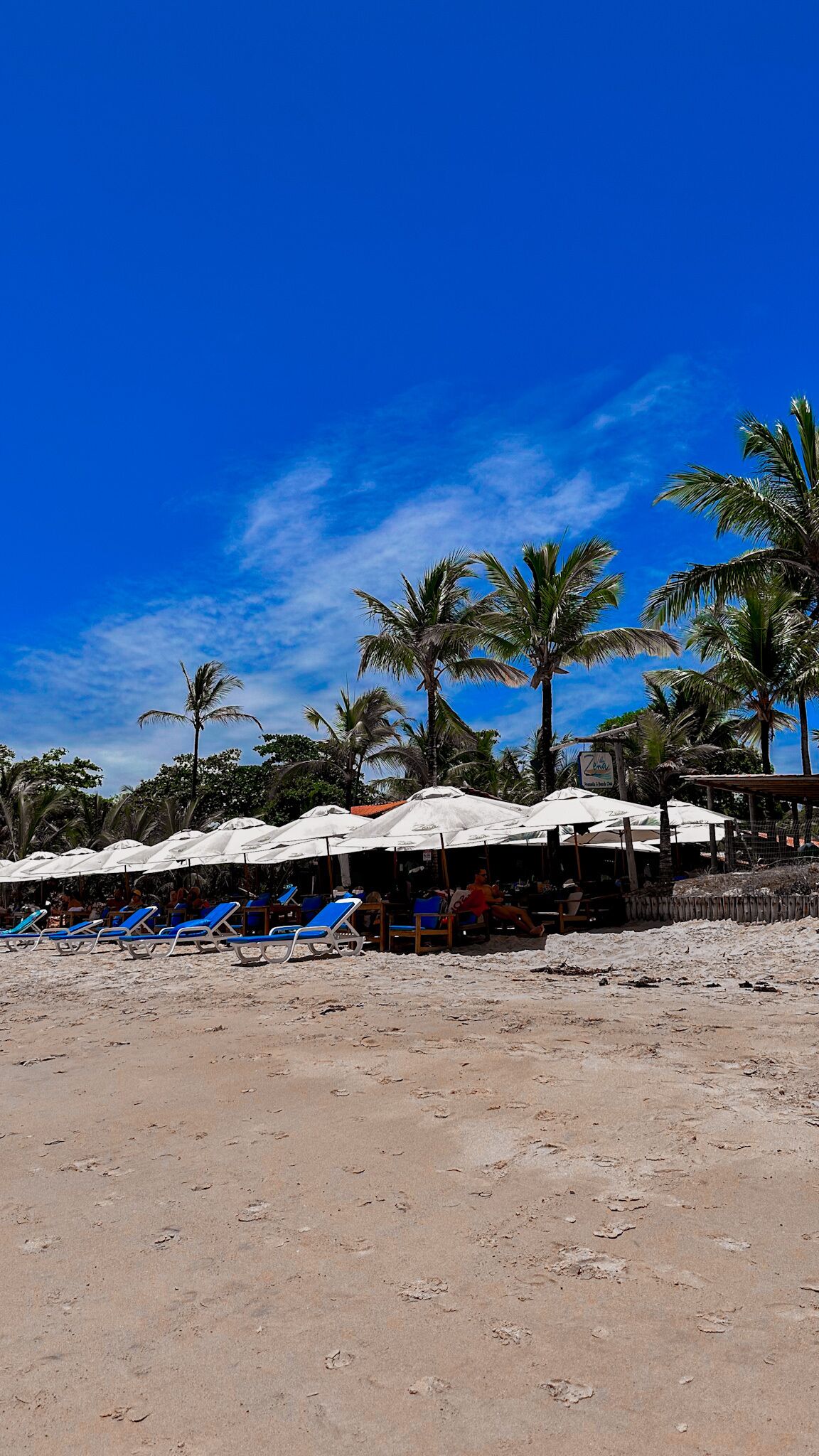 A beach with sun umbrellas, lounge chairs, and palm trees under a clear blue sky.