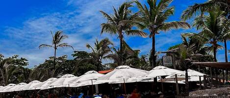 A beach with sun umbrellas, lounge chairs, and palm trees under a clear blue sky.