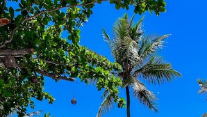 A wooden deck leading to a pool with palm trees and umbrellas, overlooking a beach. - Pousada Villa Zena (Porto Seguro)