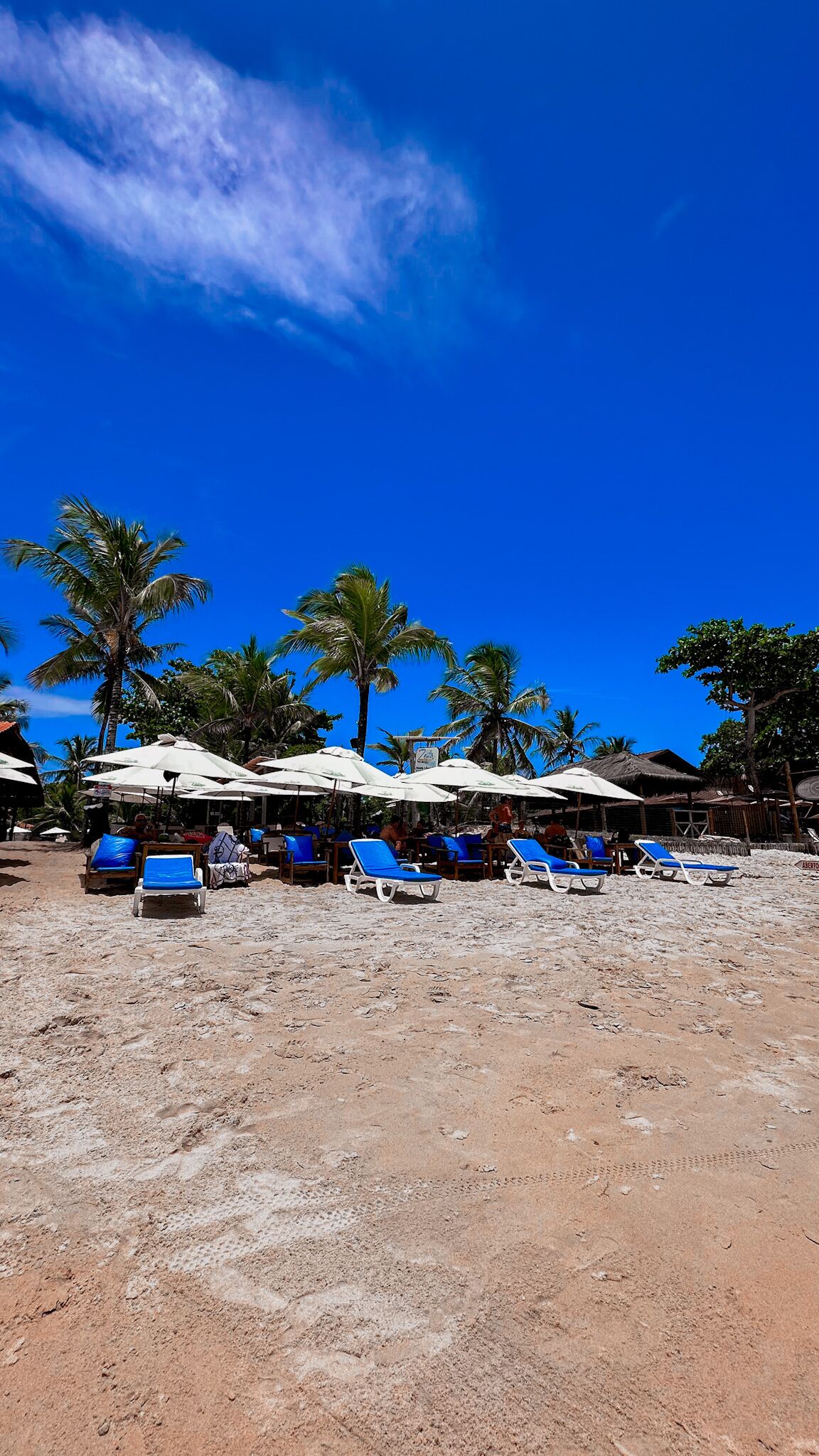 A beach with blue lounge chairs and white umbrellas under palm trees.