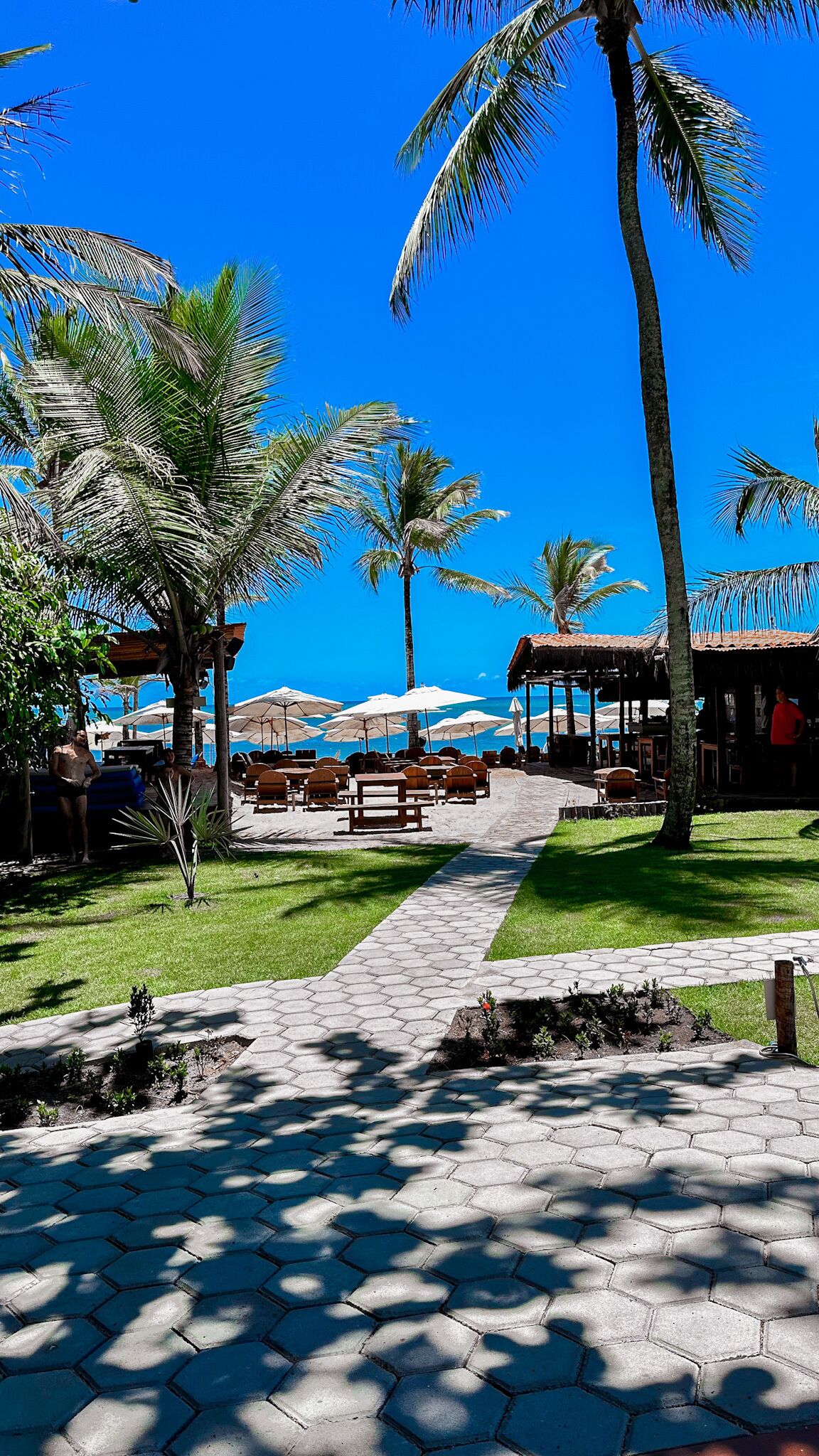 Un camino empedrado que conduce a una zona de descanso frente a la playa, con sombrillas y palmeras.