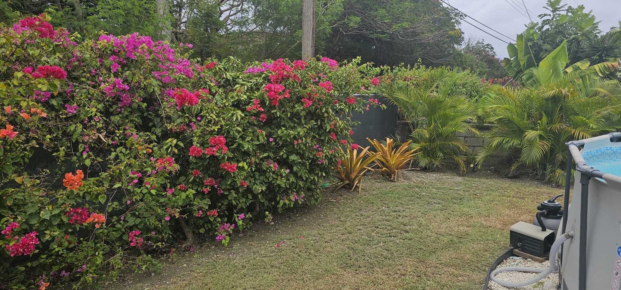 A garden with flowering bushes and a water pump.