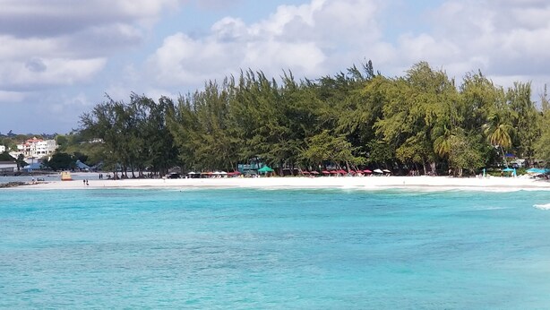 A beach with clear turquoise water, a sandy shore, and a dense forest in the background.