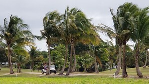 A golf course with a white golf cart and two people.