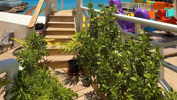 A wooden deck with a staircase leading to a beach view, surrounded by potted plants and colorful beach toys.