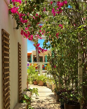 Terrace/patio - Maho Beach House Ocean Front Garden Studio (Maho, Sint Maarten)