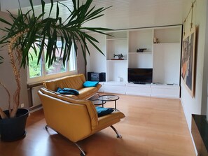 Télévision, cheminée, lecteur de DVD, livres