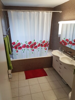 Hair dryer, soap, toilet paper - Holiday home Luma (with terrace and garden) (Egerkingen)