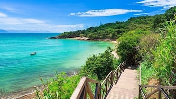 Playa en los alrededores