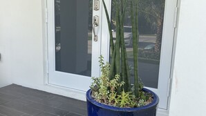 A blue planter with various plants on a porch.